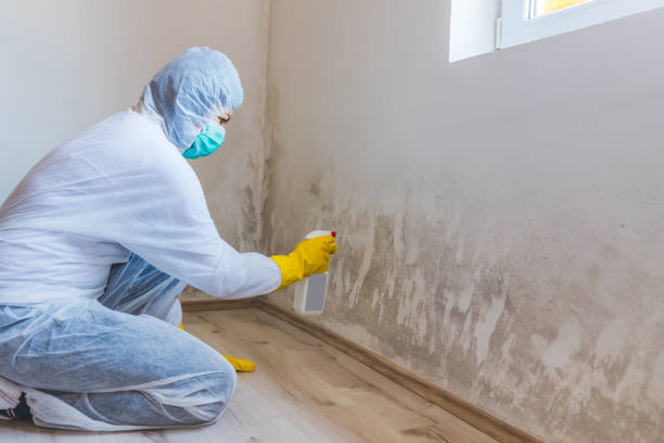 Hvac And Air Duct Mold Remediation inspection of HVAC system in Millheim