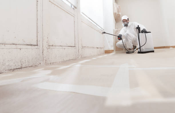 Black mold remediation team in Millheim